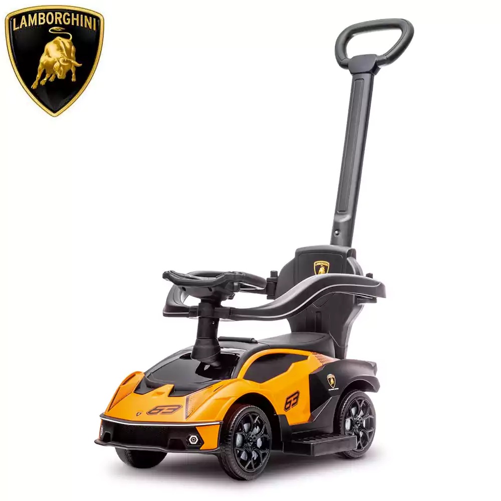 Lamborghini Essenza SC V12      46471